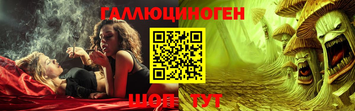 Моздок  Псилоцибиновые грибы MAGIC MUSHROOMS  Галлюциногенные грибы Psilocybe  Вход с VPN 